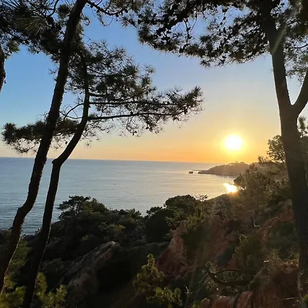 Blue Horizon Rooftop Daire